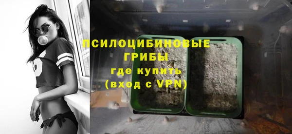 мдма Медвежьегорск