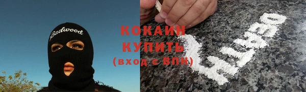 стаф Мегион