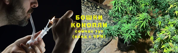 стаф Мегион