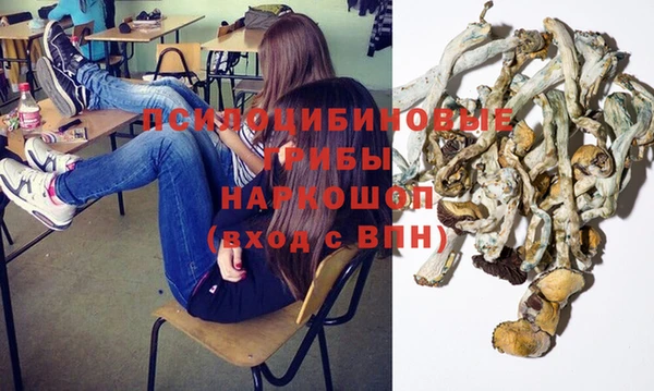 стаф Мегион